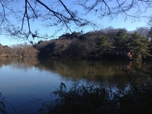 石神井公園　三宝寺池